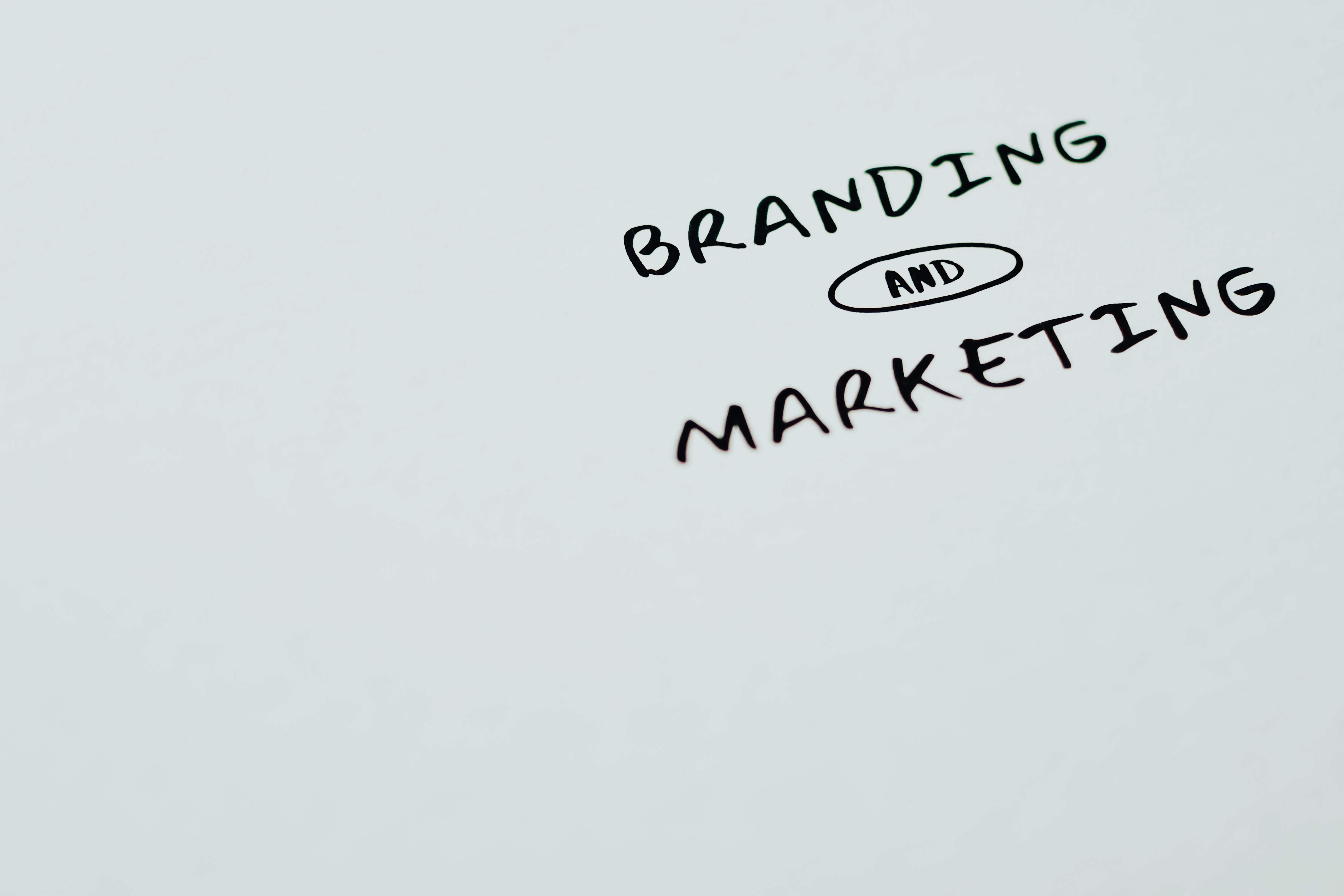 Branding and marketing strategy for AI-era search visibility